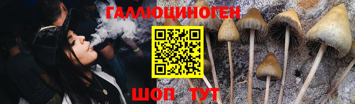 Псилоцибиновые грибы GOLDEN TEACHER  Вход с VPN  Десногорск  Галлюциногенные грибы Magic Shrooms 